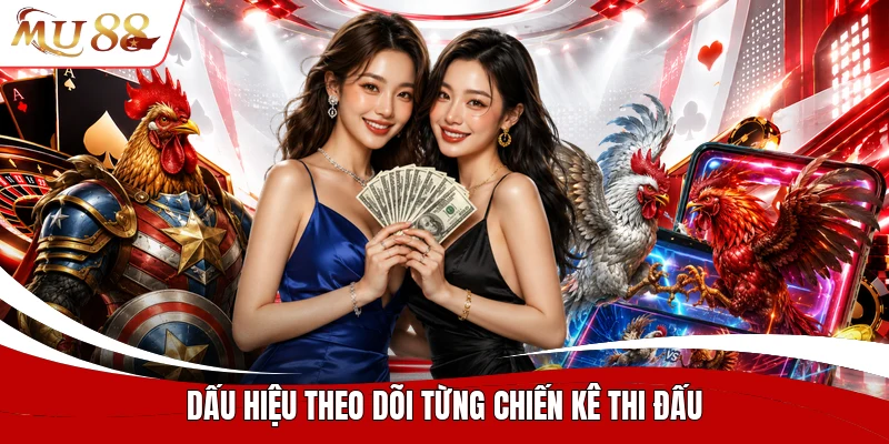 Dấu hiệu theo dõi từng chiến kê thi đấu